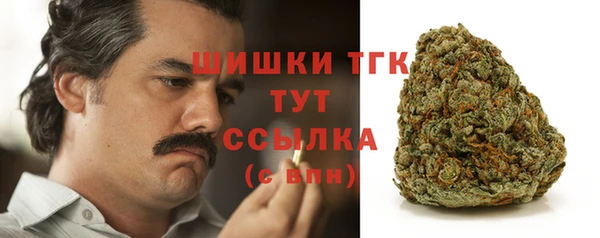 стафф Вяземский